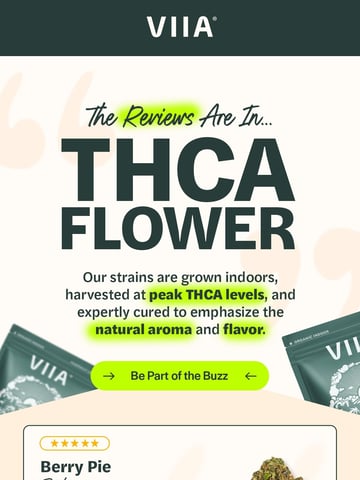 VIIA Hemp Co. Email Design Thumbnail Preview