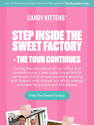 Candy Kittens Email Design Thumbnail Preview