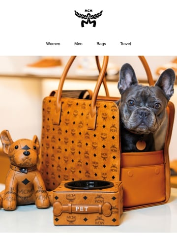 MCM North America Email Design Thumbnail Preview