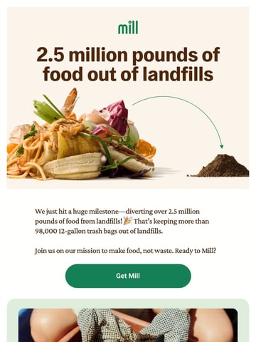Mill Email Design Thumbnail Preview