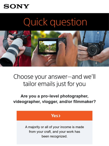 Sony Electronics Email Design Thumbnail Preview
