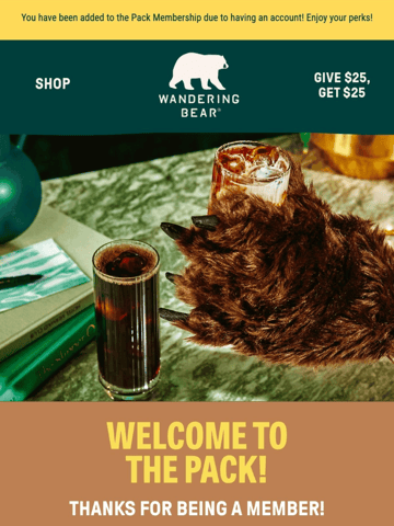 Wandering Bear Email Design Thumbnail Preview