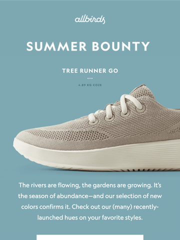 AllBirds Email Design Thumbnail Preview