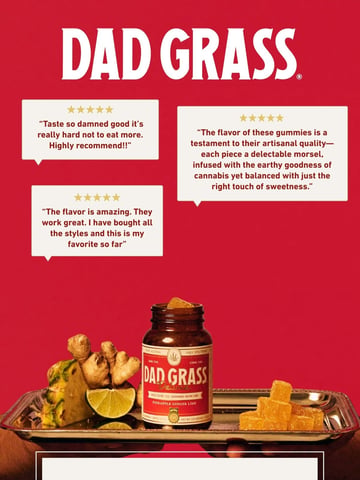 Dad Grass Email Design Thumbnail Preview