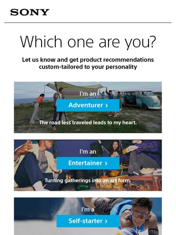 Sony Electronics Email Design Thumbnail Preview