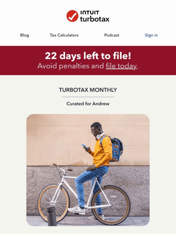 TurboTax Monthly Email Design Thumbnail Preview