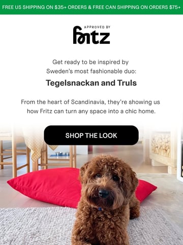 Approved by Fritz Email Design Thumbnail Preview