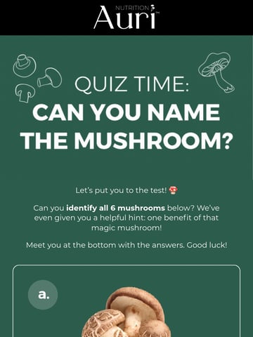 Auri Nutrition Email Design Thumbnail Preview