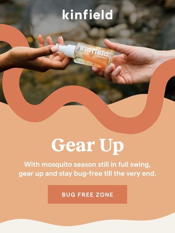 Kinfield Email Design Thumbnail Preview