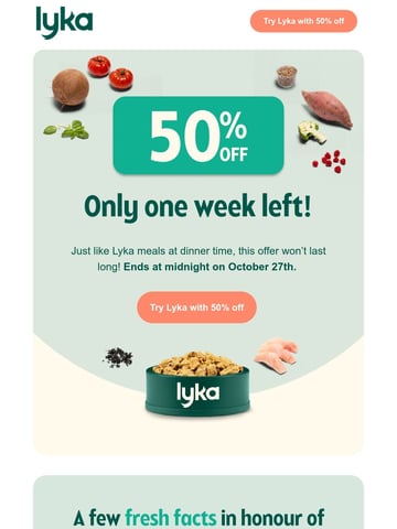 Lyka Pet Food Email Design Thumbnail Preview