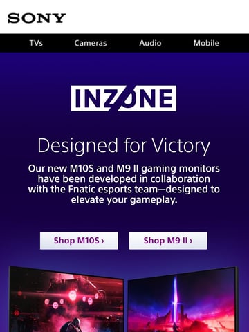 Sony Electronics Email Design Thumbnail Preview