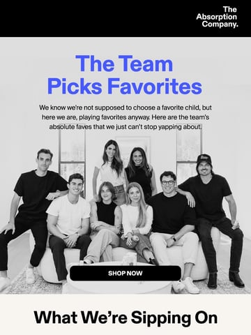The Absorption Company Email Design Thumbnail Preview
