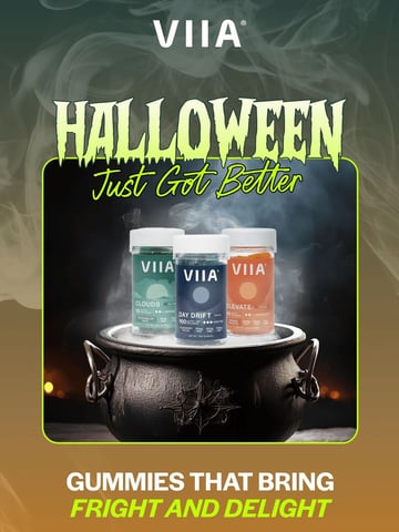 VIIA Email Design Thumbnail Preview