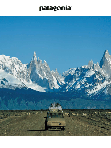 Patagonia Welcome Email Design Thumbnail Preview