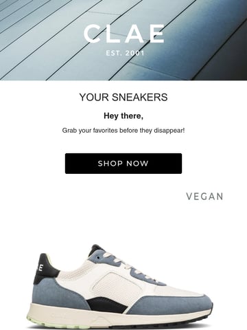 CLAE Email Design Thumbnail Preview