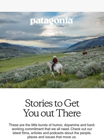 Patagonia Email Design Thumbnail Preview