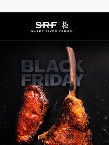 Snake River Farms Email Design Thumbnail Preview