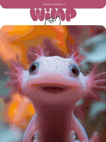 Wimp Decaf Coffee Company Email Design Thumbnail Preview