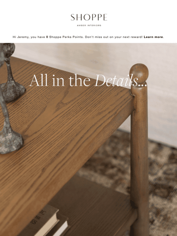 Shoppe Amber Interiors Email Design Thumbnail Preview