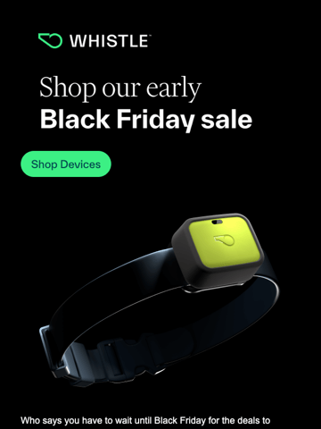 Whistle Black Friday Email Design Thumbnail Preview