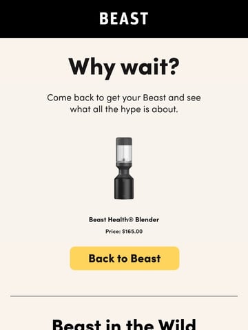 Beast Health Email Design Thumbnail Preview