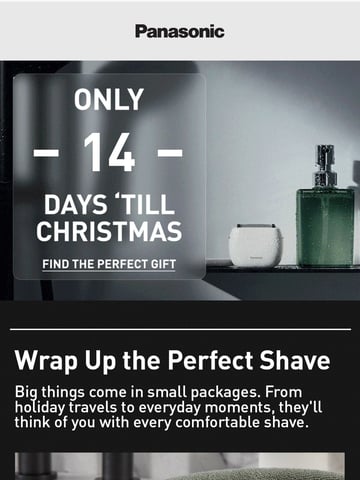 Panasonic Email Design Thumbnail Preview