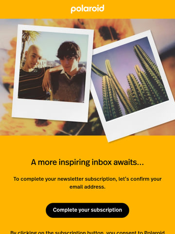 Polaroid Email Design Thumbnail Preview