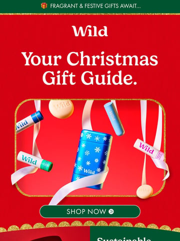 Wild Email Design Thumbnail Preview