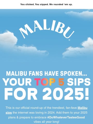 Malibu News Email Design Thumbnail Preview