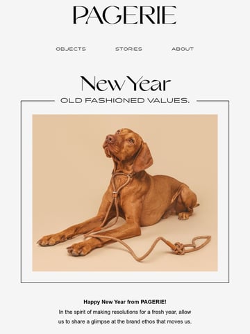 PAGERIE Email Design Thumbnail Preview
