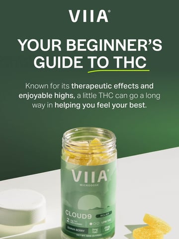 VIIA Email Design Thumbnail Preview