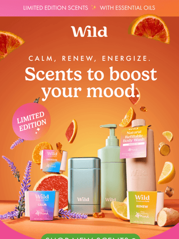 Wild Email Design Thumbnail Preview