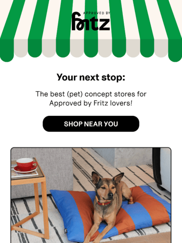 Approved by Fritz Email Design Thumbnail Preview
