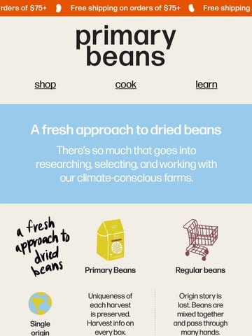 Email Inspiration from Primary Beans Thumbnail Preview