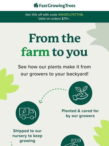 Email Inspiration from Fast-Growing-Trees.com Thumbnail Preview