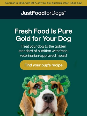 Email Inspiration from JustFoodforDogs Thumbnail Preview