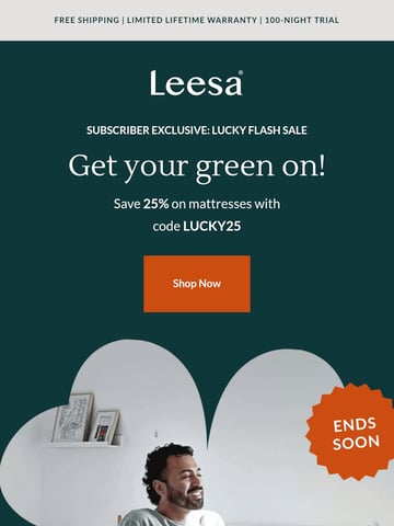 Email Inspiration from Leesa Thumbnail Preview