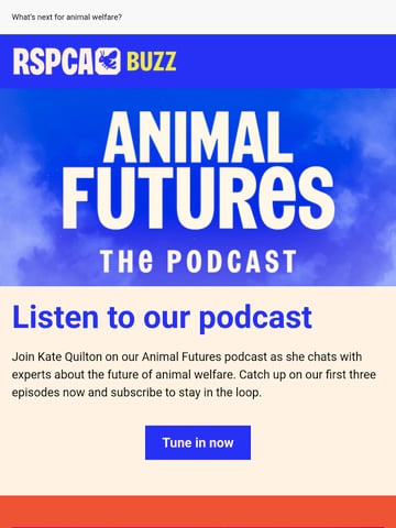 Email Inspiration from RSPCA Thumbnail Preview