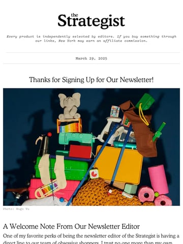 Email Inspiration from The Strategist Thumbnail Preview