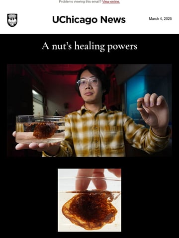 Email Inspiration from UChicago News Thumbnail Preview