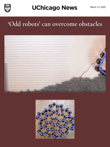 Email Inspiration from UChicago News Thumbnail Preview