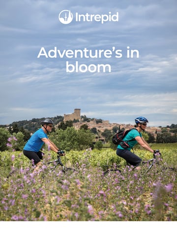 Email Inspiration from Intrepid Travel Thumbnail Preview