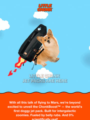 Email Inspiration from Little Chonk Thumbnail Preview
