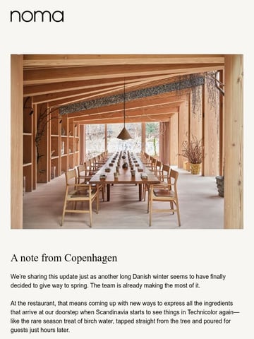 Email Inspiration from Noma Thumbnail Preview