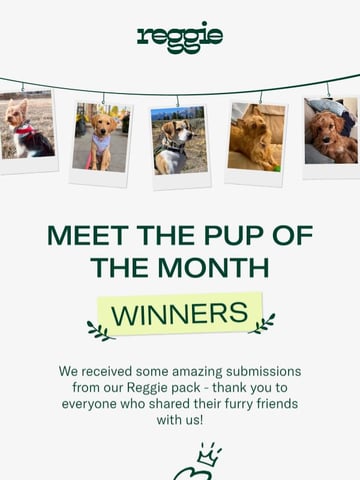 Email Inspiration from Reggie Thumbnail Preview