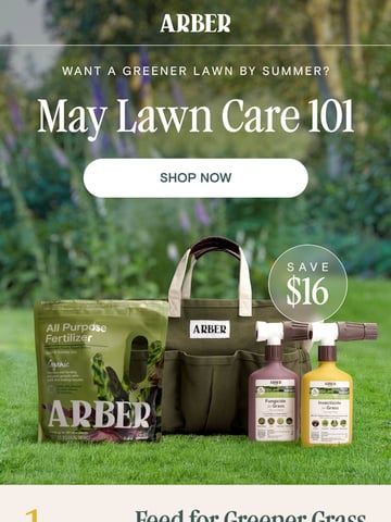 Email Inspiration from Arber Thumbnail Preview