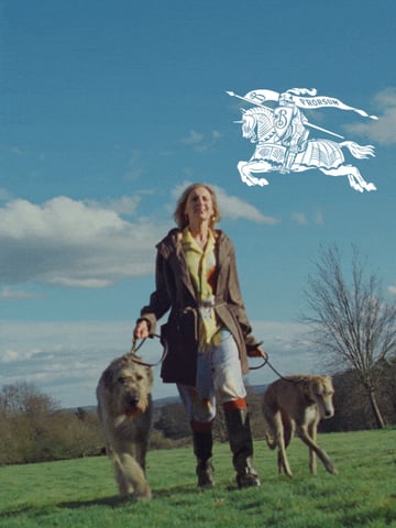 Email Inspiration from Burberry Thumbnail Preview