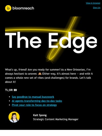 Email Inspiration from Kait from Bloomreach Thumbnail Preview