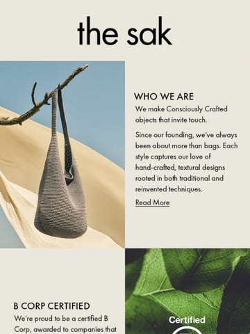 Email Inspiration from The Sak Thumbnail Preview