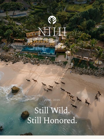 Email Inspiration from James McBride-NIHI Sumba Thumbnail Preview